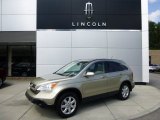 2008 Borrego Beige Metallic Honda CR-V EX-L 4WD #96953747