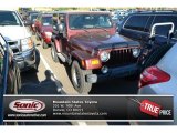2004 Sienna Pearl Jeep Wrangler Sahara 4x4 #96953535