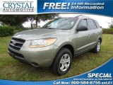 2009 Hyundai Santa Fe GLS