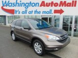 2011 Honda CR-V SE 4WD