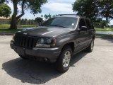Champagne Pearl Jeep Grand Cherokee in 1999