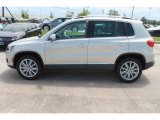 White Gold Metallic Volkswagen Tiguan in 2015