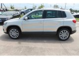 2015 Volkswagen Tiguan White Gold Metallic