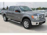 Sterling Gray Metallic Ford F150 in 2013