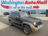 2005 Dark Khaki Pearl Jeep Liberty Renegade 4x4 #97146577