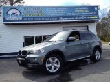 2007 Mineral Green Metallic BMW X5 3.0si #97396524