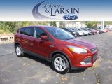 2014 Sunset Ford Escape SE 1.6L EcoBoost 4WD #97475426