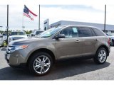 2014 Ford Edge Mineral Gray