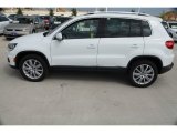 2015 Volkswagen Tiguan SE Exterior