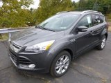 Magnetic Metallic Ford Escape in 2015