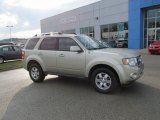 2010 Gold Leaf Metallic Ford Escape Limited V6 4WD #97745604