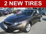 2013 Metal Bronze Pearl Metallic Kia Optima LX #97745212