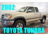 2002 Toyota Tundra SR5 Access Cab 4x4