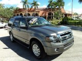 2014 Sterling Gray Ford Expedition Limited #97863642