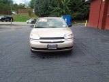 2005 Light Driftwood Metallic Chevrolet Malibu LS V6 Sedan #97864009