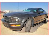 2008 Alloy Metallic Ford Mustang V6 Deluxe Coupe #9196660