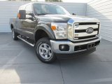 2015 Magnetic Ford F250 Super Duty XLT Crew Cab 4x4 #98150169