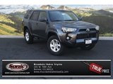 2015 Magnetic Gray Metallic Toyota 4Runner SR5 4x4 #98247395