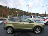 2013 Ginger Ale Metallic Ford Escape SE 2.0L EcoBoost 4WD #98287425