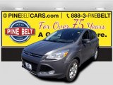 2013 Sterling Gray Metallic Ford Escape SEL 1.6L EcoBoost #98325534