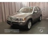 2006 Sterling Grey Metallic BMW X5 4.4i #9821790