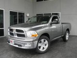 2009 Mineral Gray Metallic Dodge Ram 1500 SLT Regular Cab #9822940