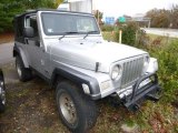 2004 Bright Silver Metallic Jeep Wrangler X 4x4 #98570928