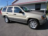 2001 Jeep Grand Cherokee Laredo 4x4 Front 3/4 View