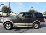 Dark Stone Metallic Ford Expedition in 2005