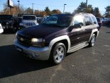 2008 Chevrolet TrailBlazer LT 4x4