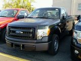 2014 Green Gem Ford F150 XL Regular Cab #99034424