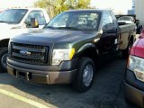 2014 Green Gem Ford F150 XL Regular Cab #99034422