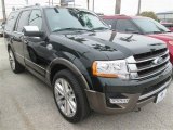 2015 Ford Expedition Green Gem Metallic