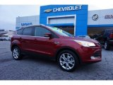 2014 Ford Escape Titanium 2.0L EcoBoost