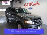 2015 Magnetic Metallic Ford Expedition Limited #99137898