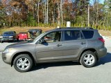 Pyrite Metallic Toyota RAV4 in 2010