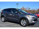 2013 Sterling Gray Metallic Ford Escape SEL 1.6L EcoBoost #99250601