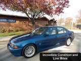 2002 Blue Water Metallic BMW 5 Series 530i Sedan #99289384