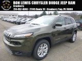 2015 ECO Green Pearl Jeep Cherokee Latitude 4x4 #99327090