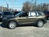 ECO Green Pearl Jeep Cherokee in 2015