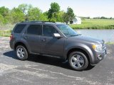 2009 Sterling Grey Metallic Ford Escape Limited V6 4WD #9942331