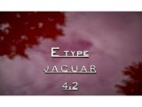 Jaguar E-Type Badges and Logos