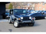 2002 Patriot Blue Pearl Jeep Wrangler X 4x4 #99530009