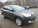 2015 Ford Escape Magnetic Metallic
