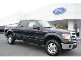 2014 Ford F150 XLT SuperCrew 4x4 Front 3/4 View