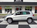 2012 Reflex Silver Metallic Volkswagen Tiguan SE 4Motion #99631986