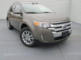 2014 Mineral Gray Ford Edge Limited #99631898