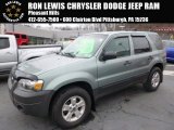 2007 Ford Escape XLT 4WD