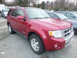 2008 Redfire Metallic Ford Escape Limited 4WD #99826126