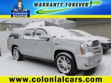 2010 Silver Lining Cadillac Escalade ESV Platinum AWD #99826100